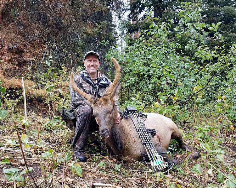 AR19-Bartholf Elk 2019